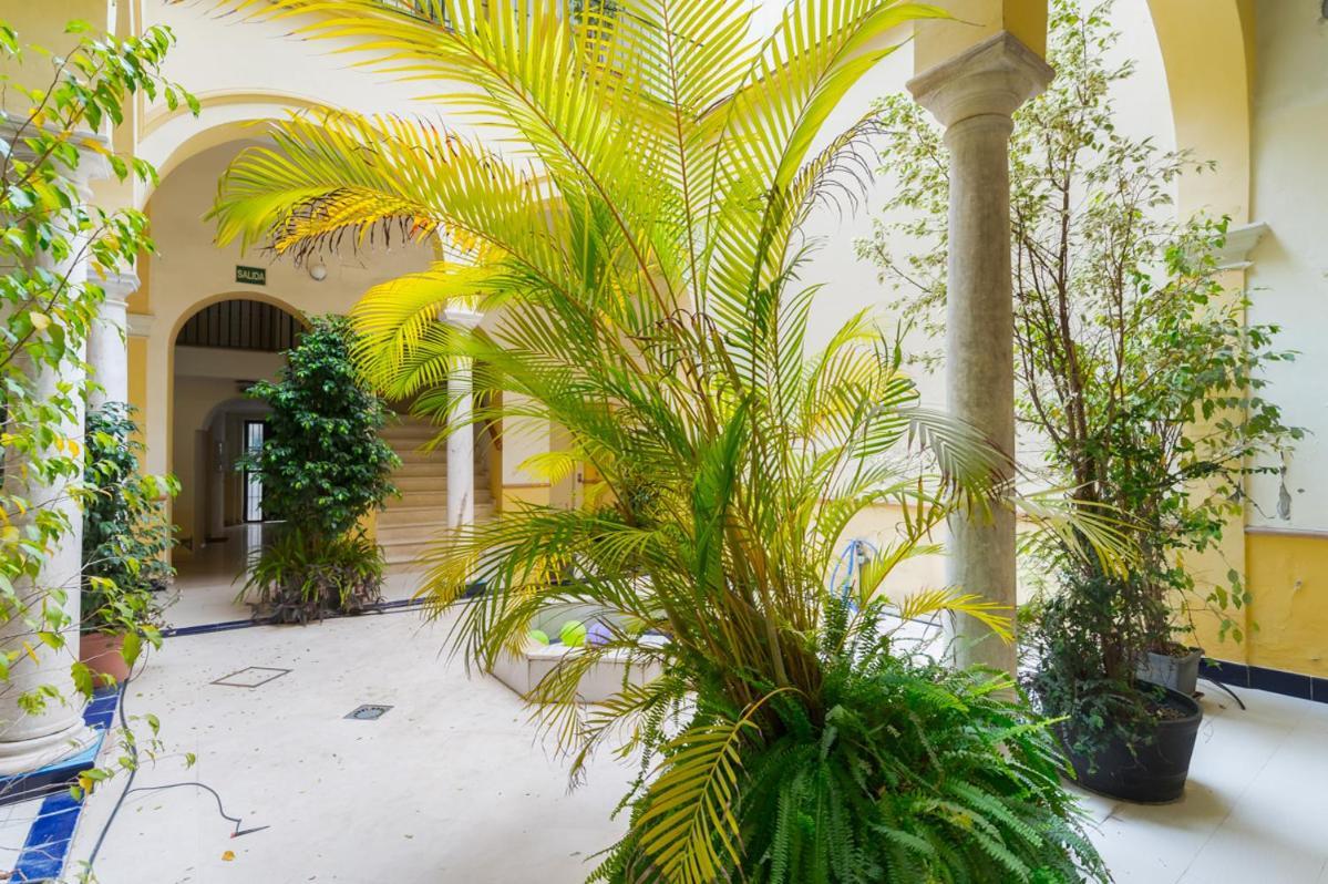 Cozy Duplex - 2 Bathrooms - Historic Centre Appartement *